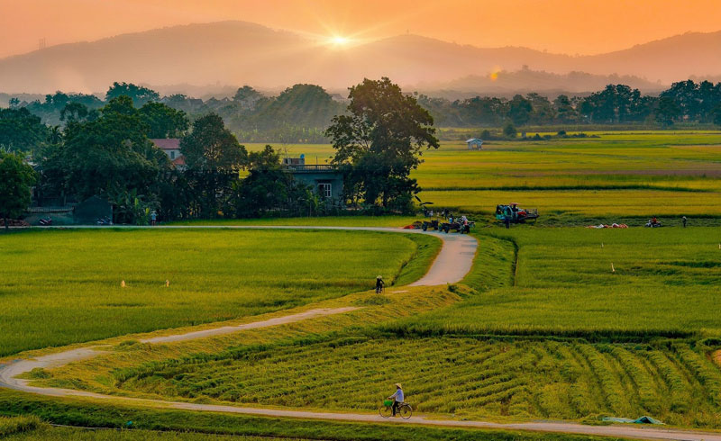 Một làng quê Việt Nam tươi đẹp