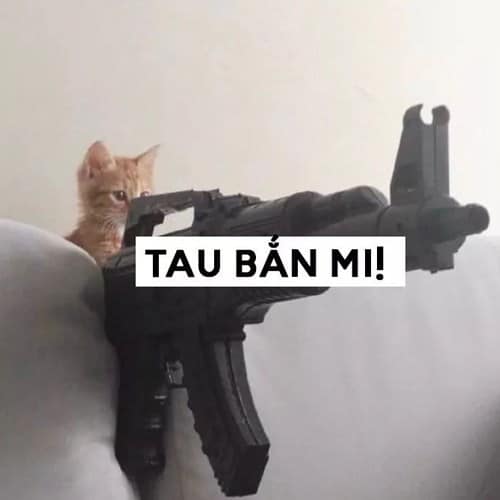 Meme mèo cầm súng