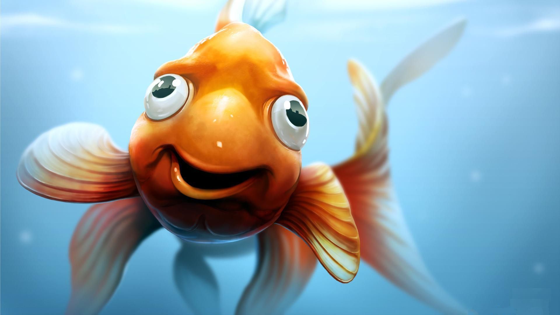Hình nền cá 3D hài hước cho máy tính