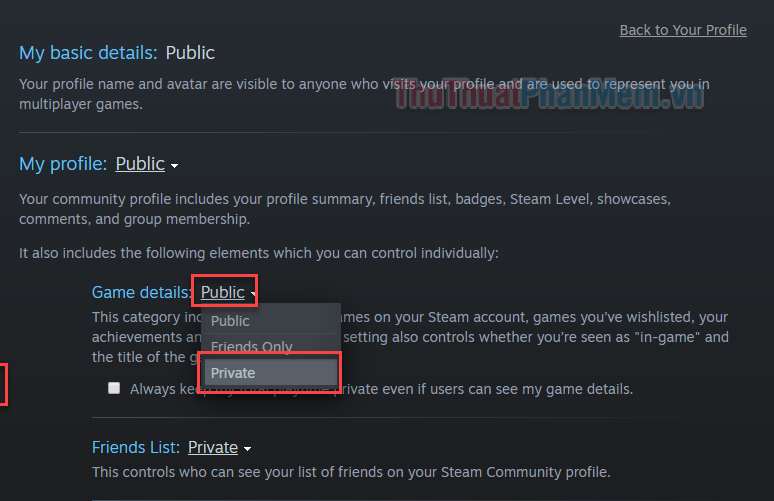 Nhấn vào nút Public (Công khai) bên cạnh mục Game details và đổi nó thành Private (Cá nhân)