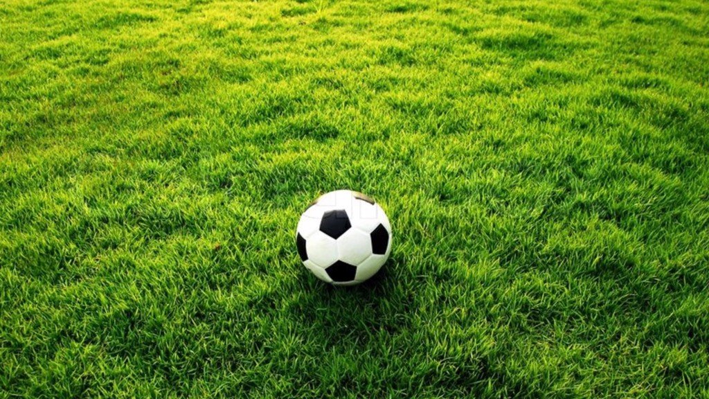Hình ảnh sân cỏ bóng đá xanh mướt