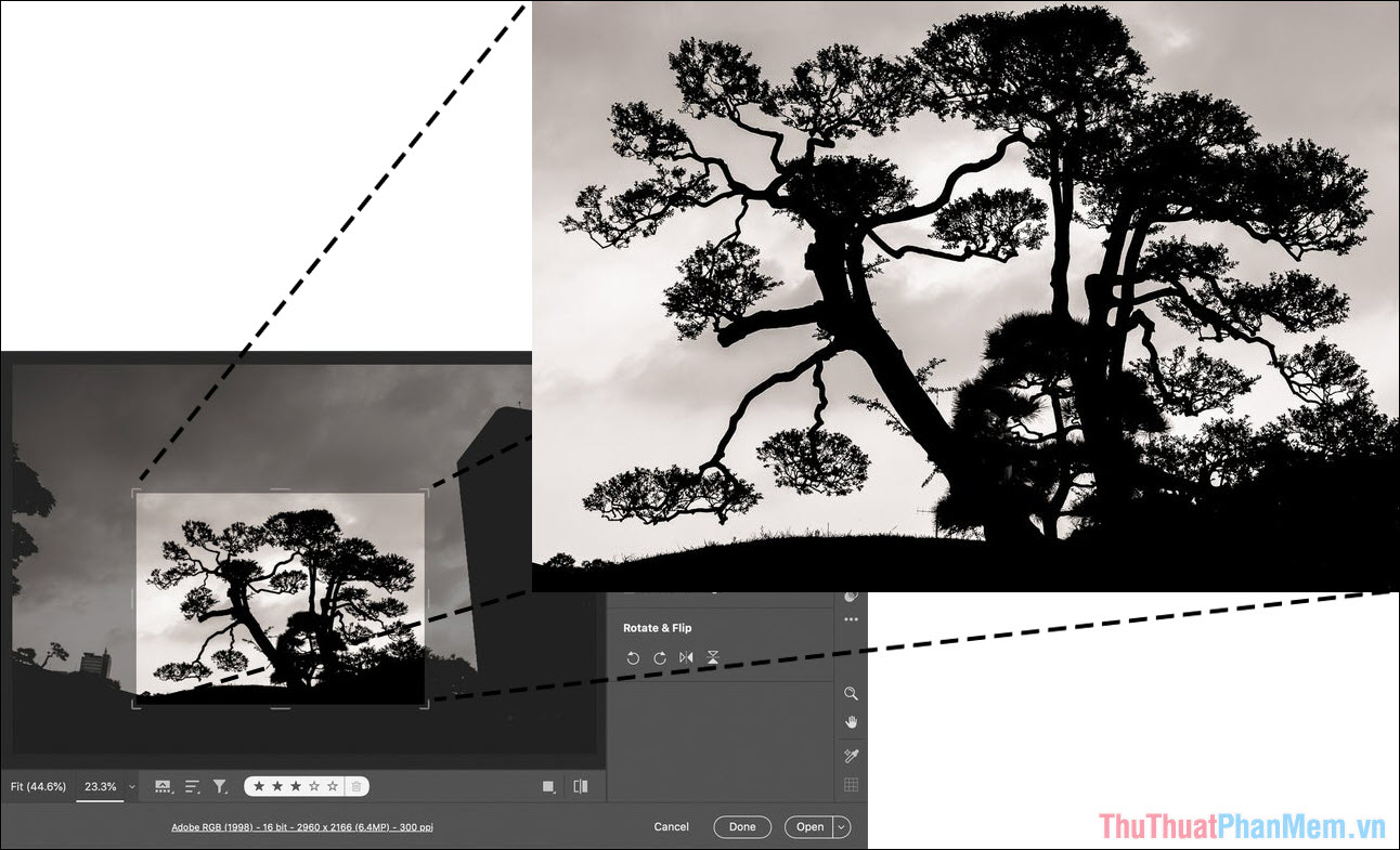 Cách phóng to hình ảnh mà không vỡ bằng Super Resolution của Adobe Photoshop