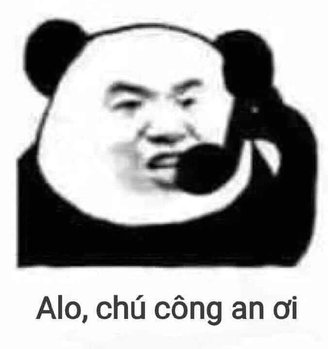 Tổng hợp meme gấu trúc weibo hài hước, độc, bá đạo