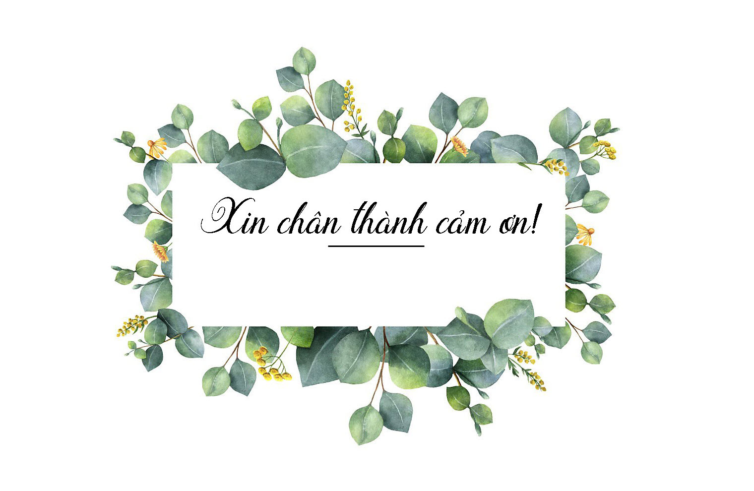 Hình ảnh cảm ơn thầy cô - \