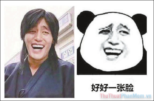 Tổng Hợp Meme Gấu Trúc Weibo Hài Hước, Độc, Bá Đạo