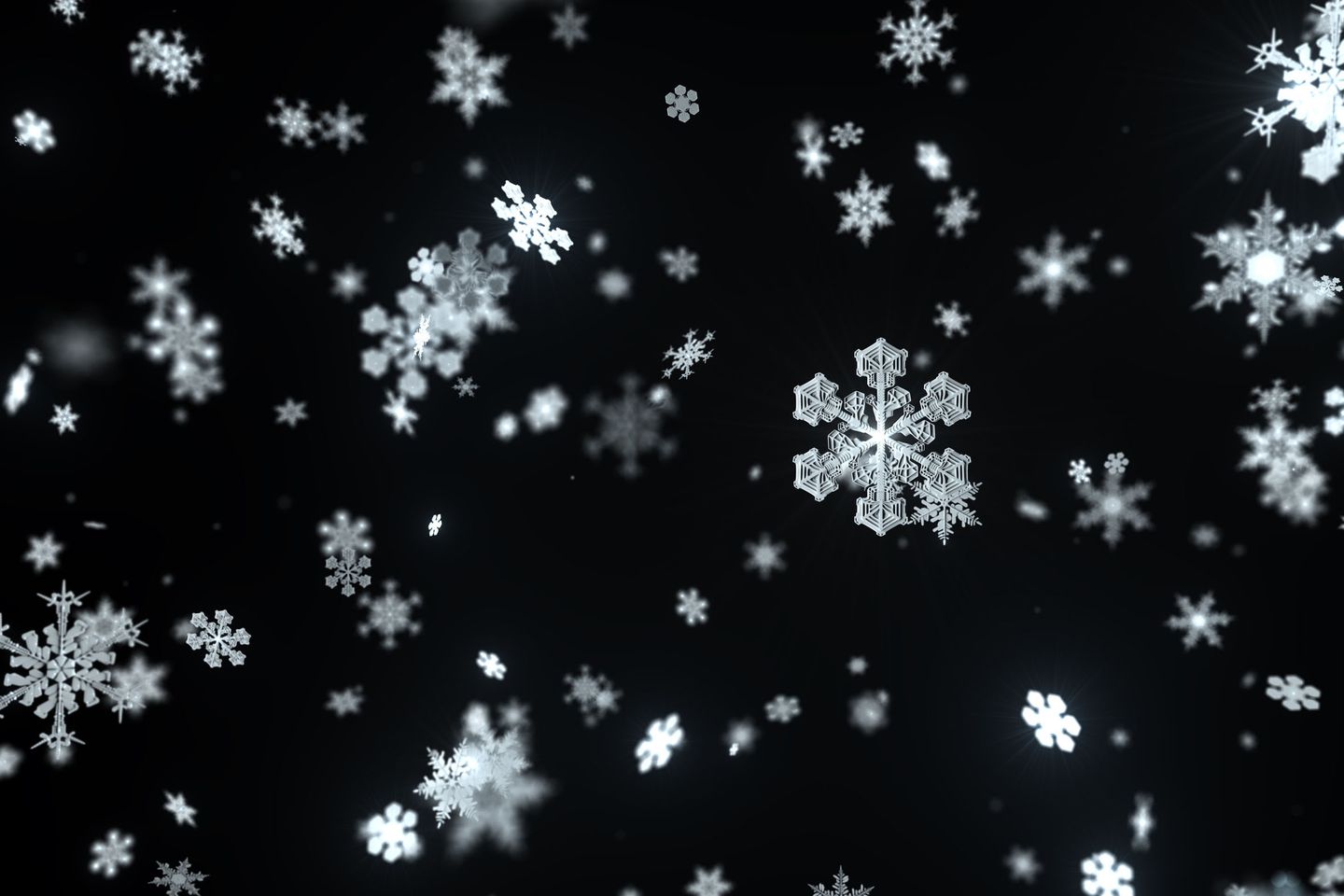 Hình nền  Người tuyết Tuyết rơi bông tuyết 2560x1580  CoolWallpapers   645064  Hình nền đẹp hd  WallHere