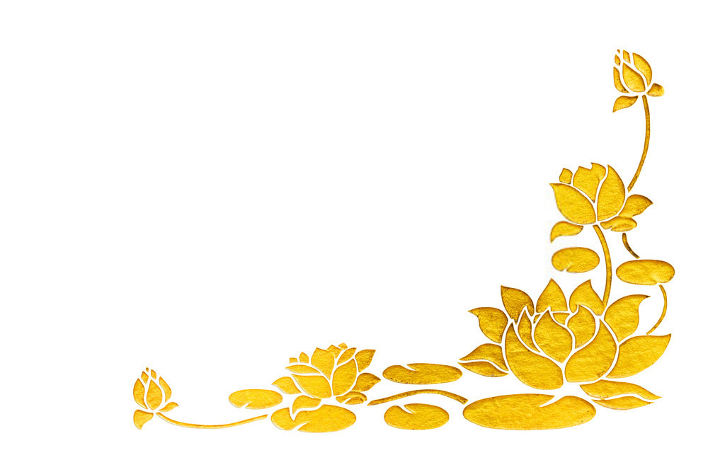 Background hoa Sen vàng