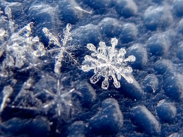 Hình Nền Bông Tuyết Nền Tải Về Miễn Phí Hình ảnh bông tuyết nền trắng bông  tuyết nền Sáng Tạo Từ Lovepik