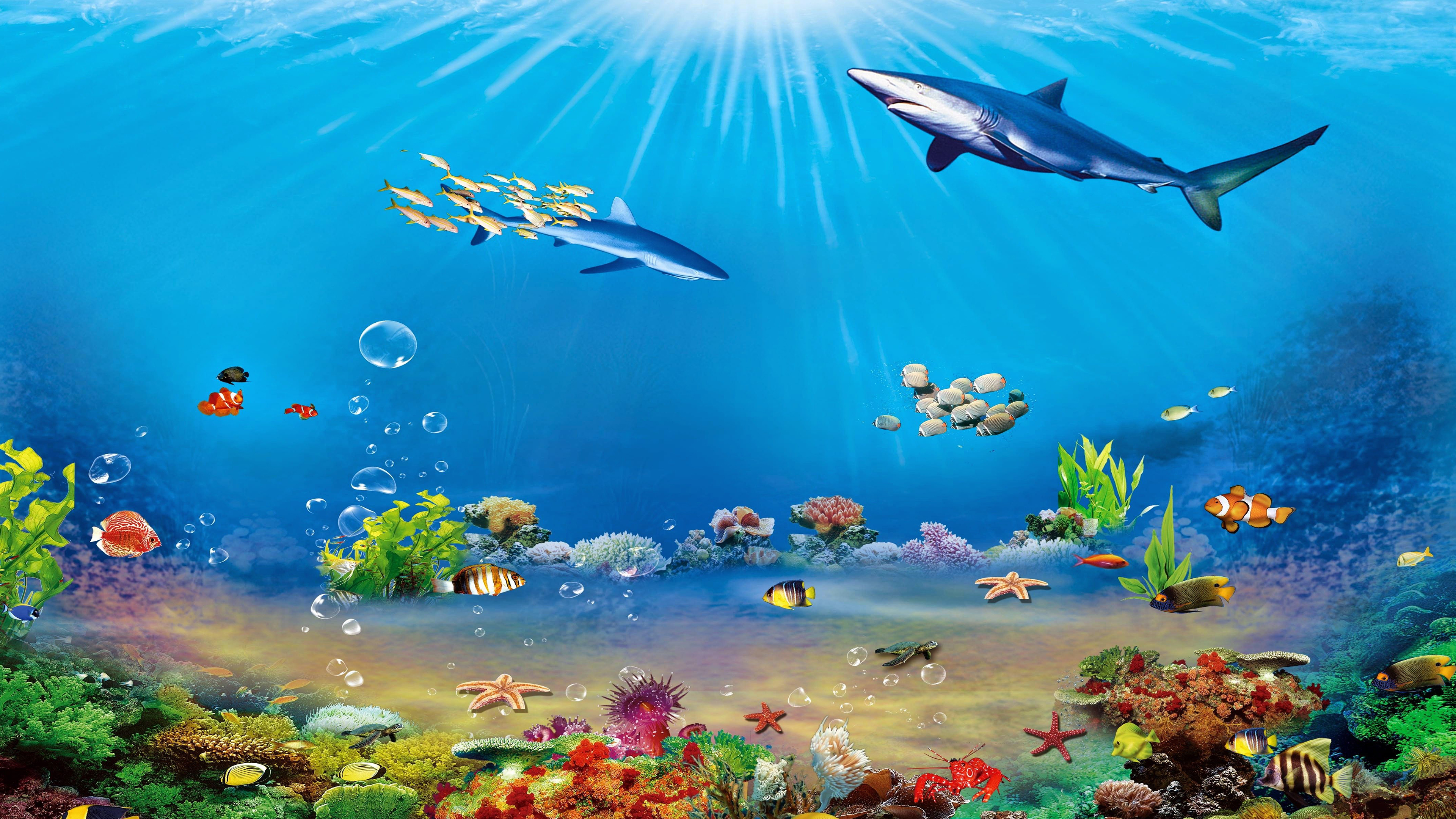 tranh tường 3D đại dương M01  Chia sẻ  cung cấp file thiết kế quảng cáo  đồ họa vector file in ấn chất lượng Download file Corel AI PSD vector  miễn