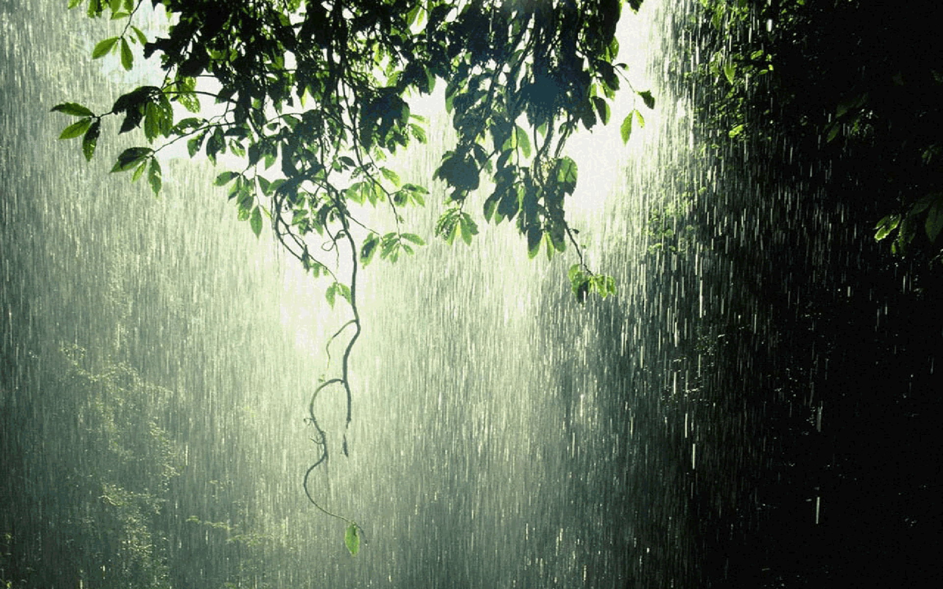 Hình nền trời mưa chất lượng cao đẹp nhất
