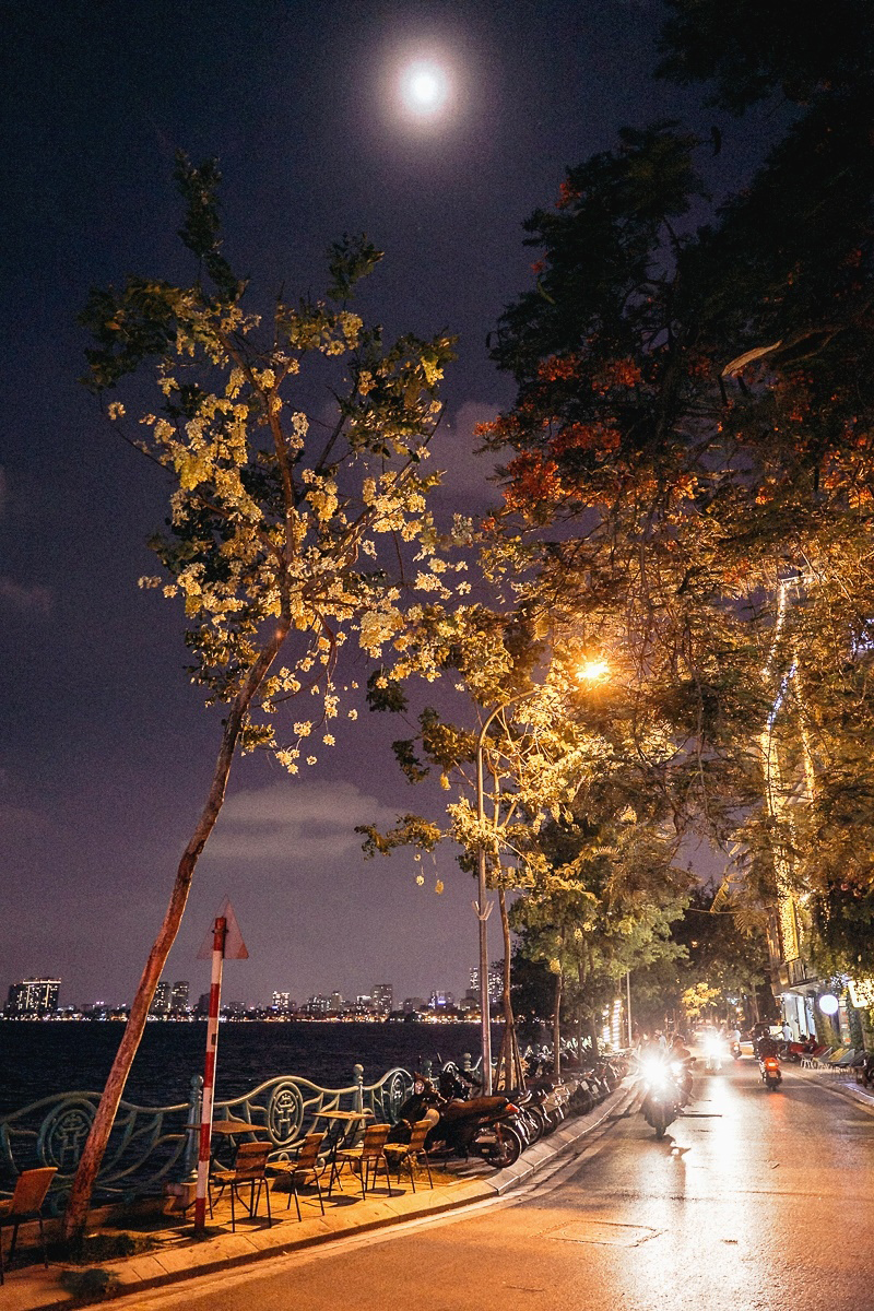 Bộ sưu tập hình ảnh đường phố về đêm siêu đẹp đầy ấn tượng full 4K ...