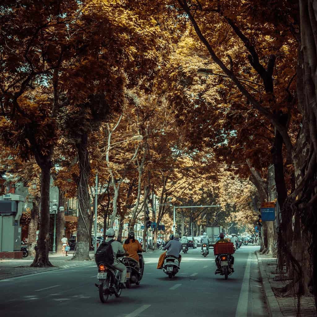 Đường phố mùa thu Hà Nội