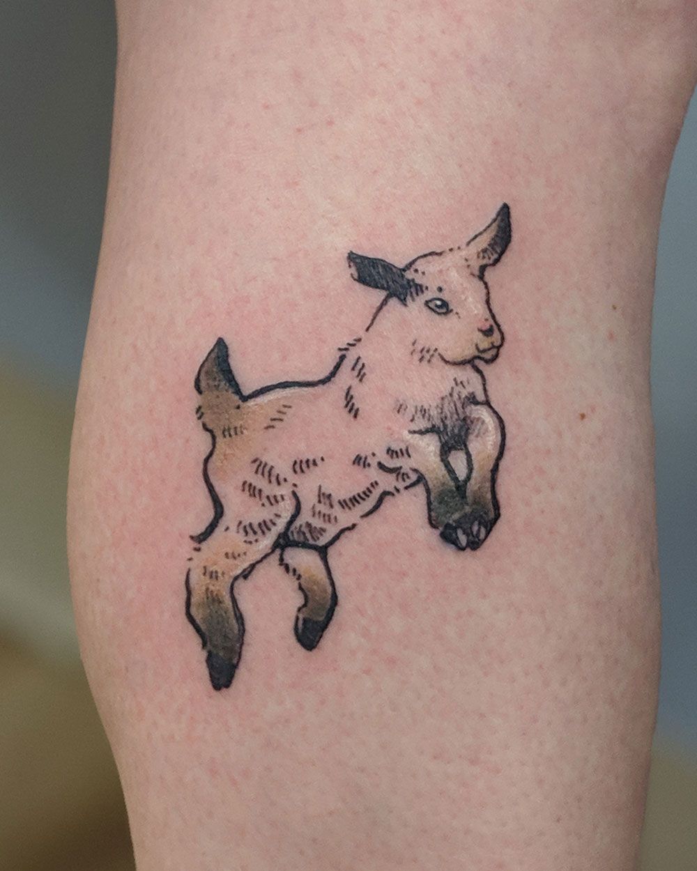 Goat Tattoo
