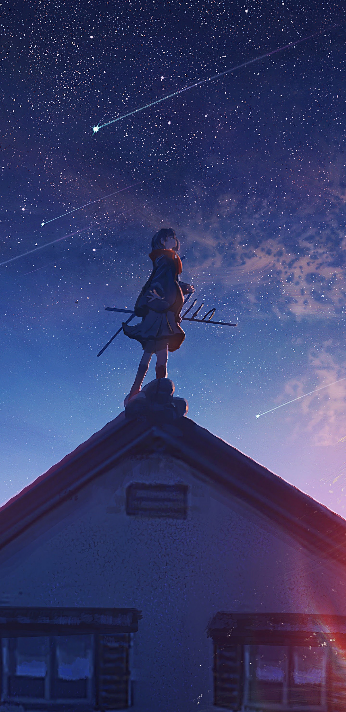 Hình ảnh anime nhìn bầu trời đêm