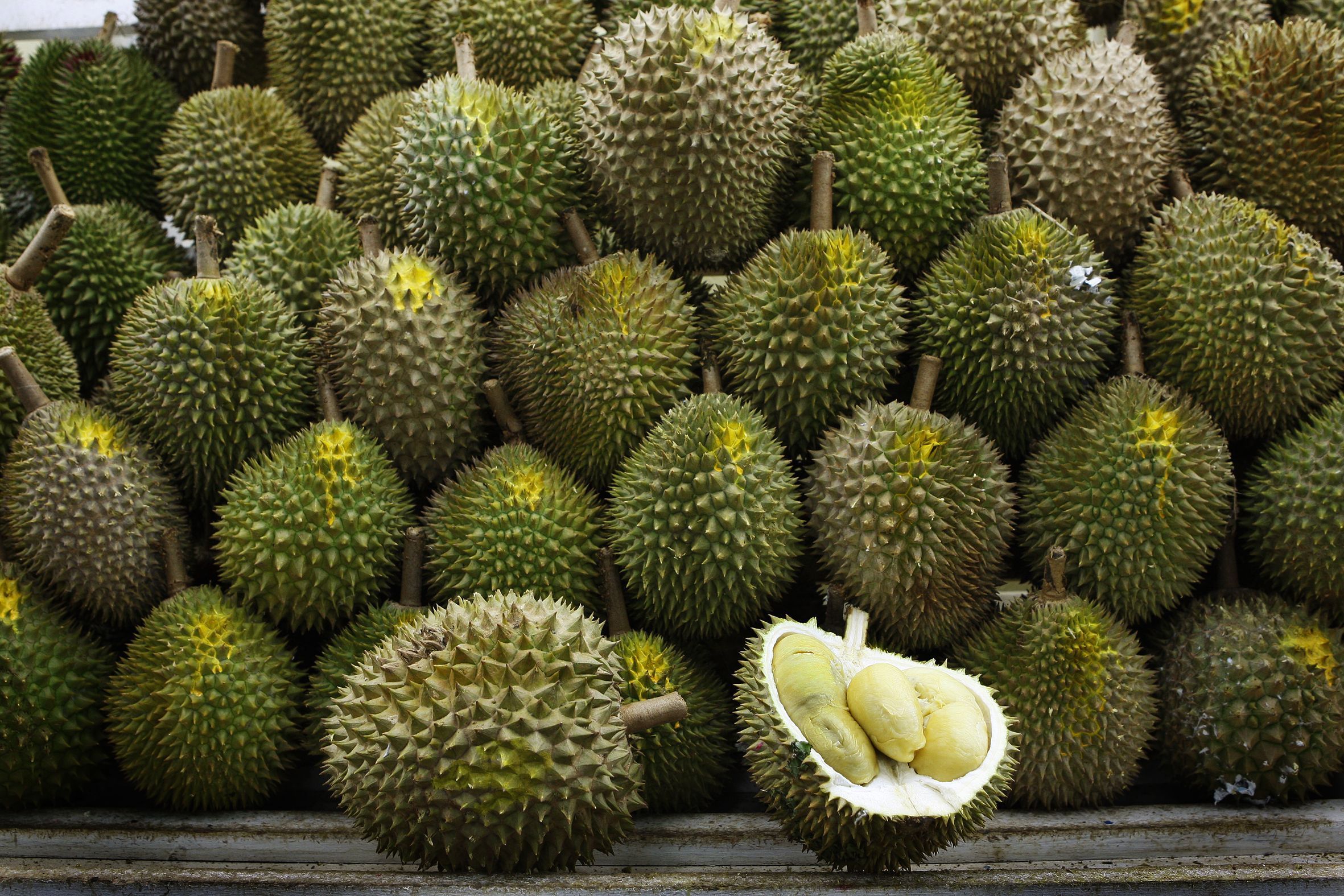 Hình ảnh trái Sầu Riêng thơm ngon đẹp nhất