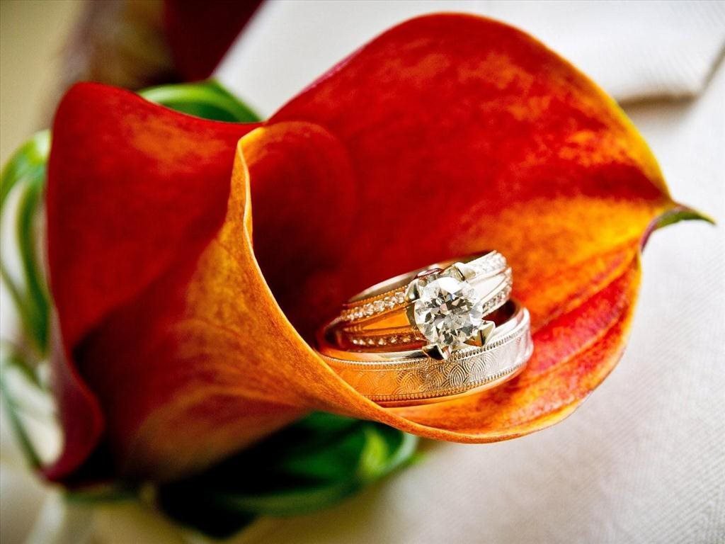 Hình ảnh chiếc nhẫn cưới là một ví dụ độc đáo