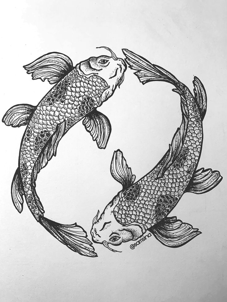 Bản vẽ bản vẽ hình xăm cá chép đẹp và tinh tế nhất 2023
