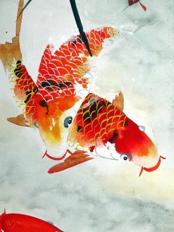 Hình vẽ cá Koi Nhật đẹp nhất