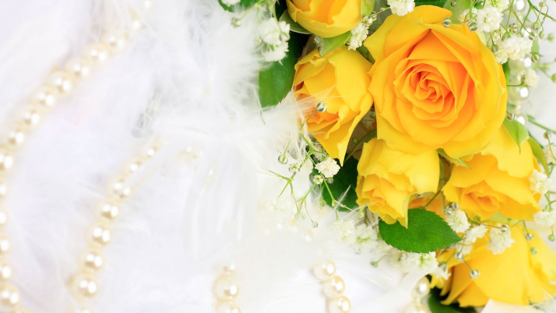 Beautiful Yellow Rose Images