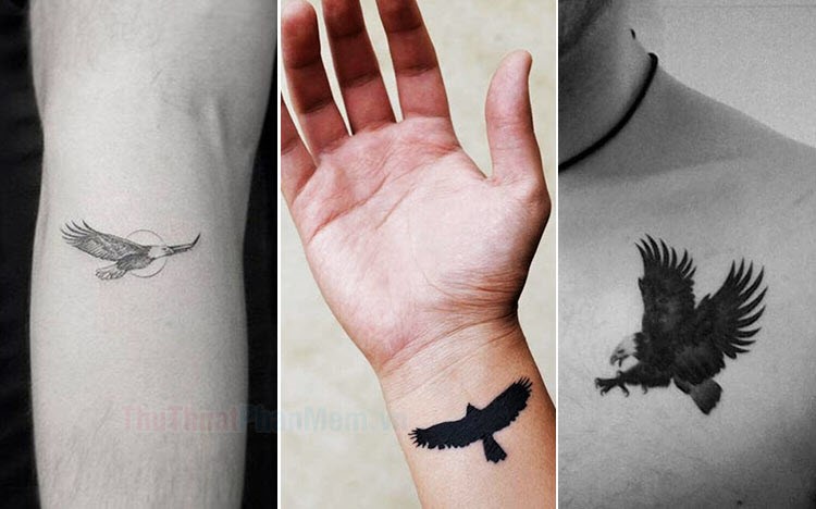 75 hình xăm đại bàng đẹp ở lưng ngực cánh tay cho nam  Eagle Tattoo  Design  Tạp Chí Hình Xăm