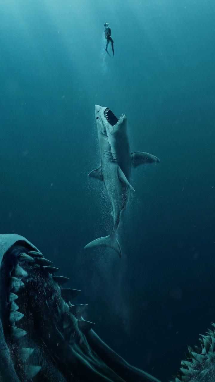 Hình ảnh cá mập săn mồi cực chất