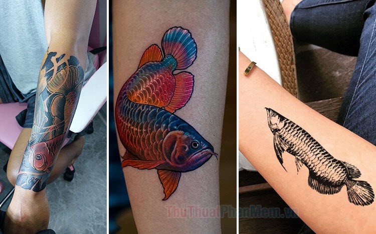Hình xăm đẹp ở Vai cho Nam 01153 tại ĐỖ NHÂN TATTOO  Alligator tattoo  Tattoos for guys Tattoo designs men