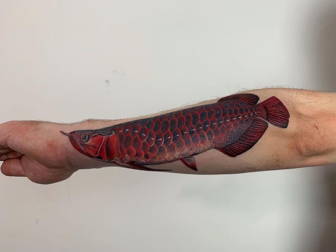 Mẫu hình xăm cá rồng đỏ đẹp