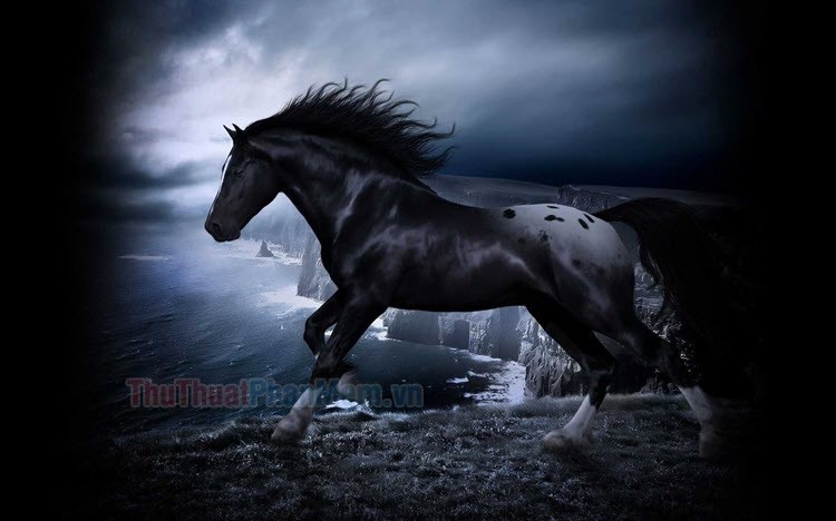 Bộ sưu tập hình ngựa đẹp cực chất full 4K với hơn 999 tấm ảnh