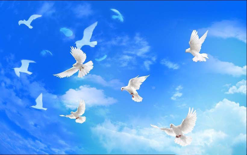 Một biểu tượng của hòa bình là hình ảnh chim bồ câu