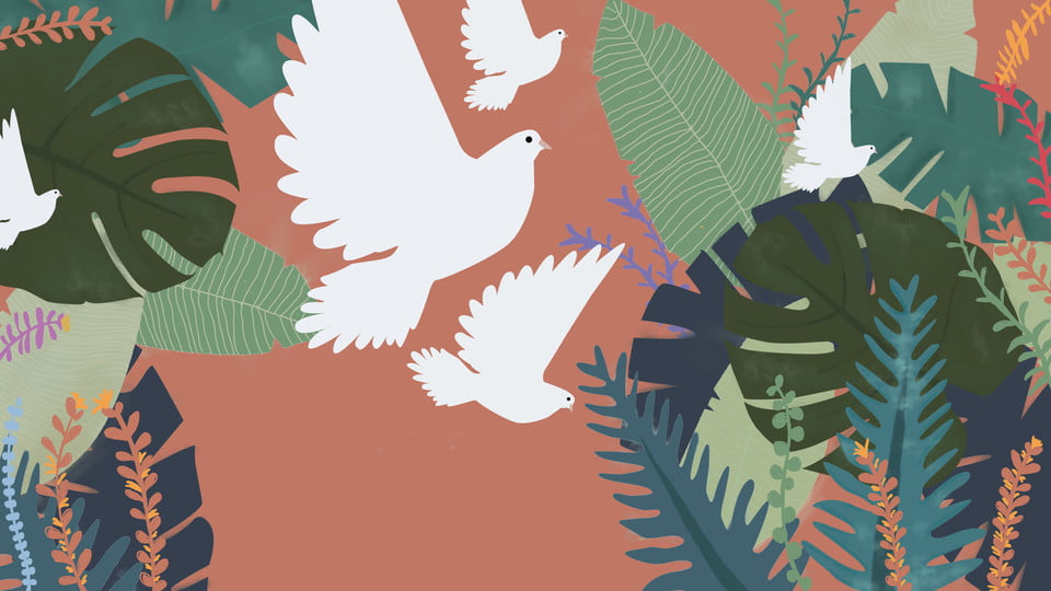 Hình ảnh chim bồ câu hòa bình