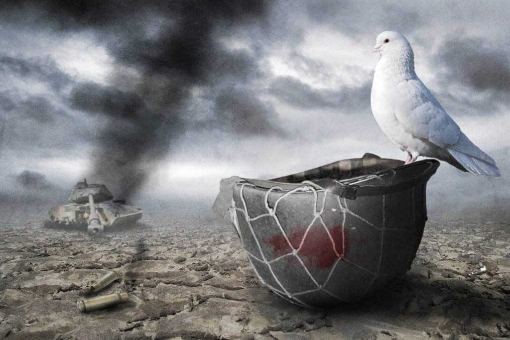 Hình ảnh về hòa bình và chiến tranh của chim bồ câu