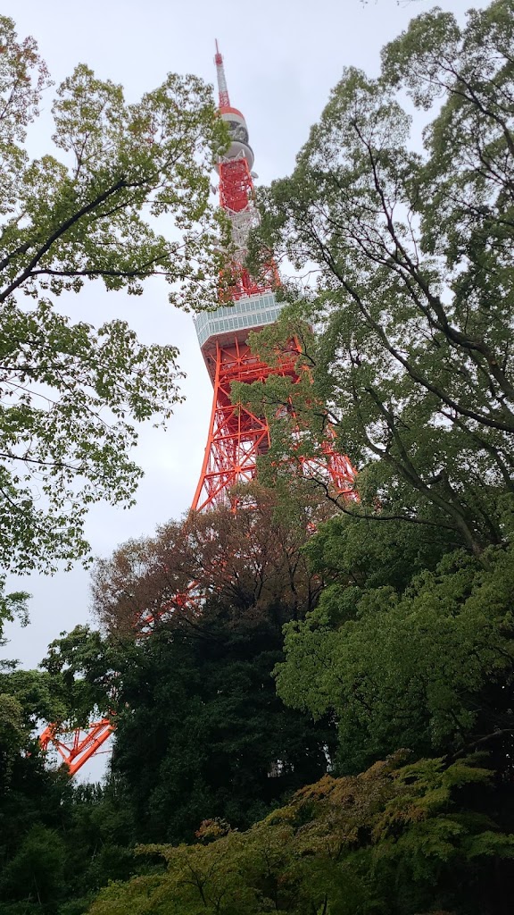 Hình ảnh một góc tháp Tokyo