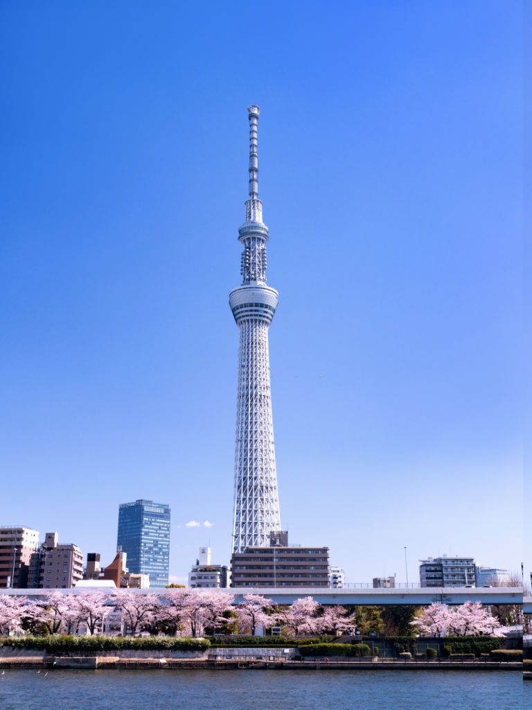 Hình ảnh tháp Tokyo mới