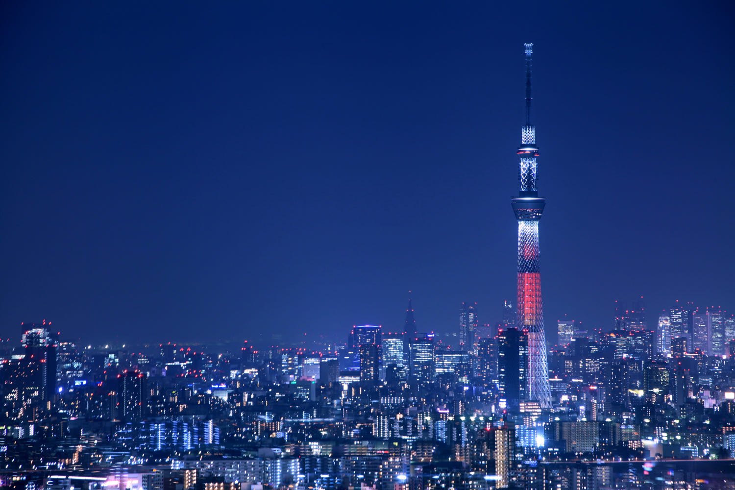 Hình ảnh tháp Tokyo về đêm