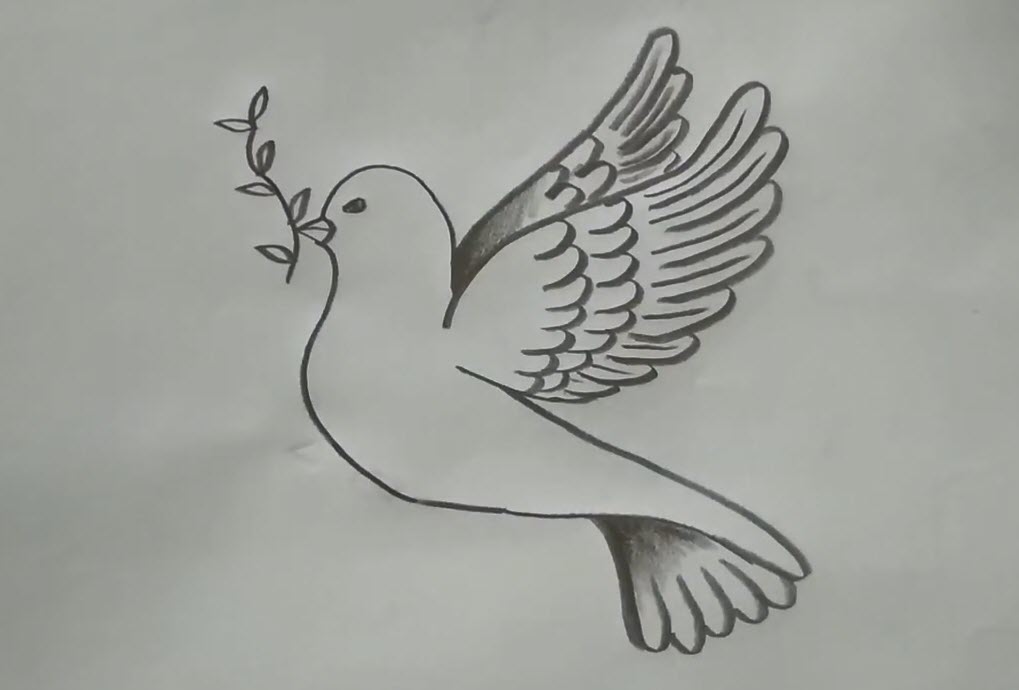 Hình ảnh tranh vẽ bồ câu hòa bình