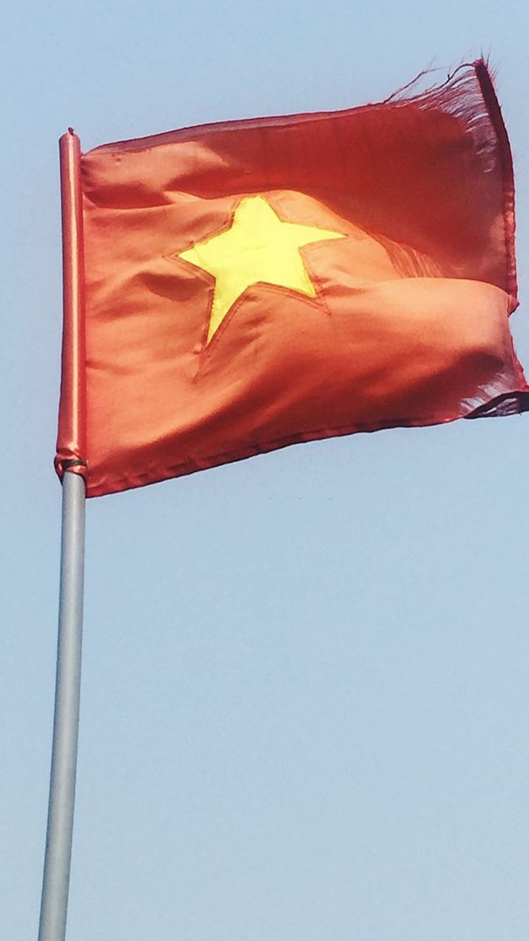 Hình nền cờ Việt Nam tung bay