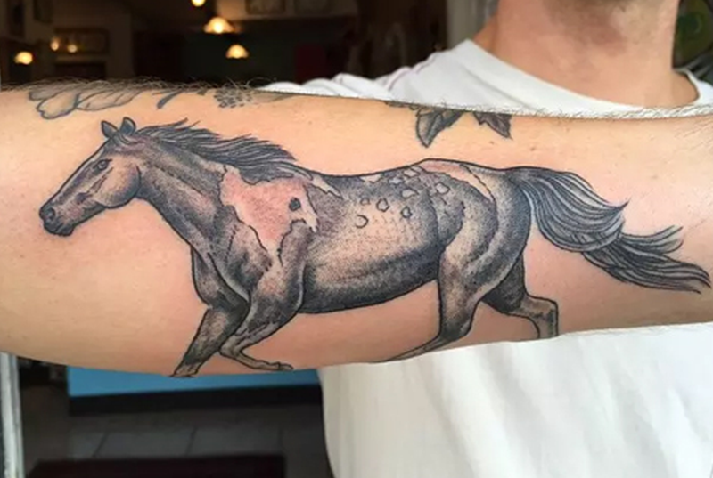 Hình xăm con ngựa trên cánh tay