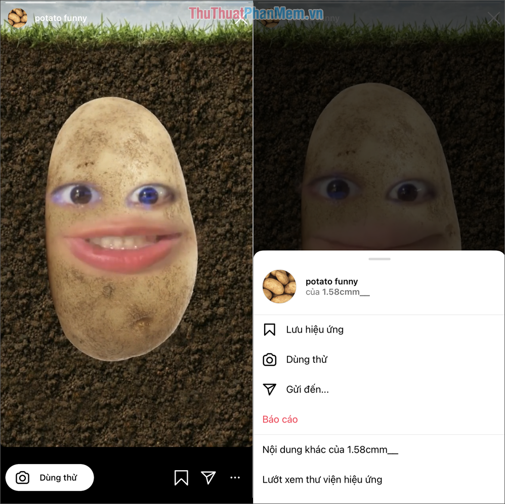 Potato funny – 1.58cm___