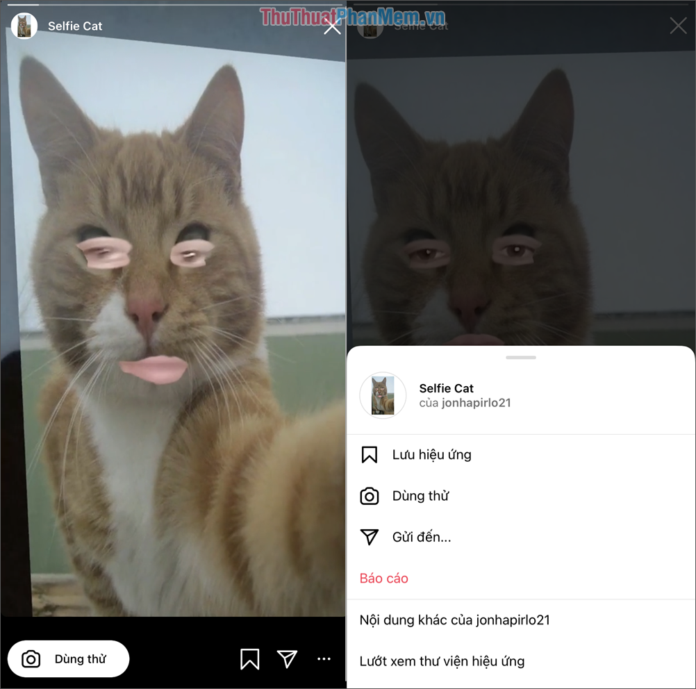 Selfie Cat - Johnapirlo21
