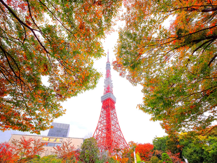Tháp Tokyo mùa thu