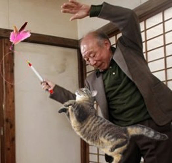 Ảnh meme Tokuda trêu mèo