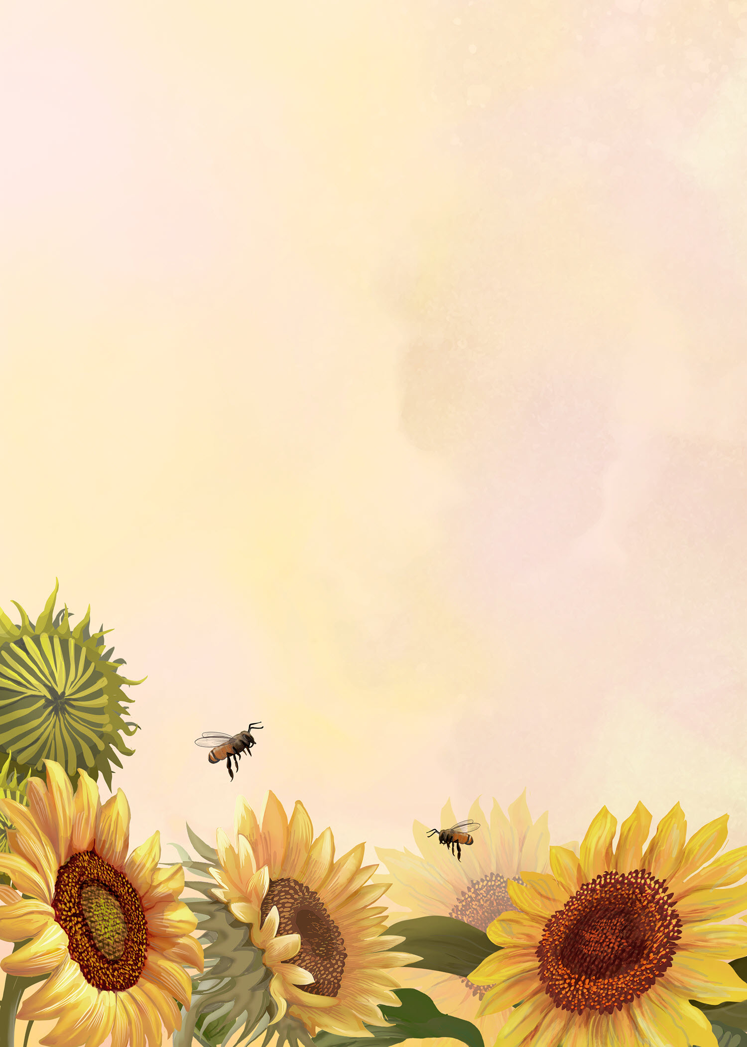 Hình ảnh Background hoa hướng dương đơn giản cực đẹp