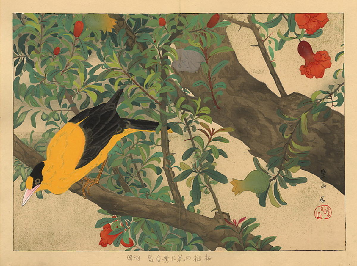 Tranh vẽ về chim Nhật Bản cực đẹp