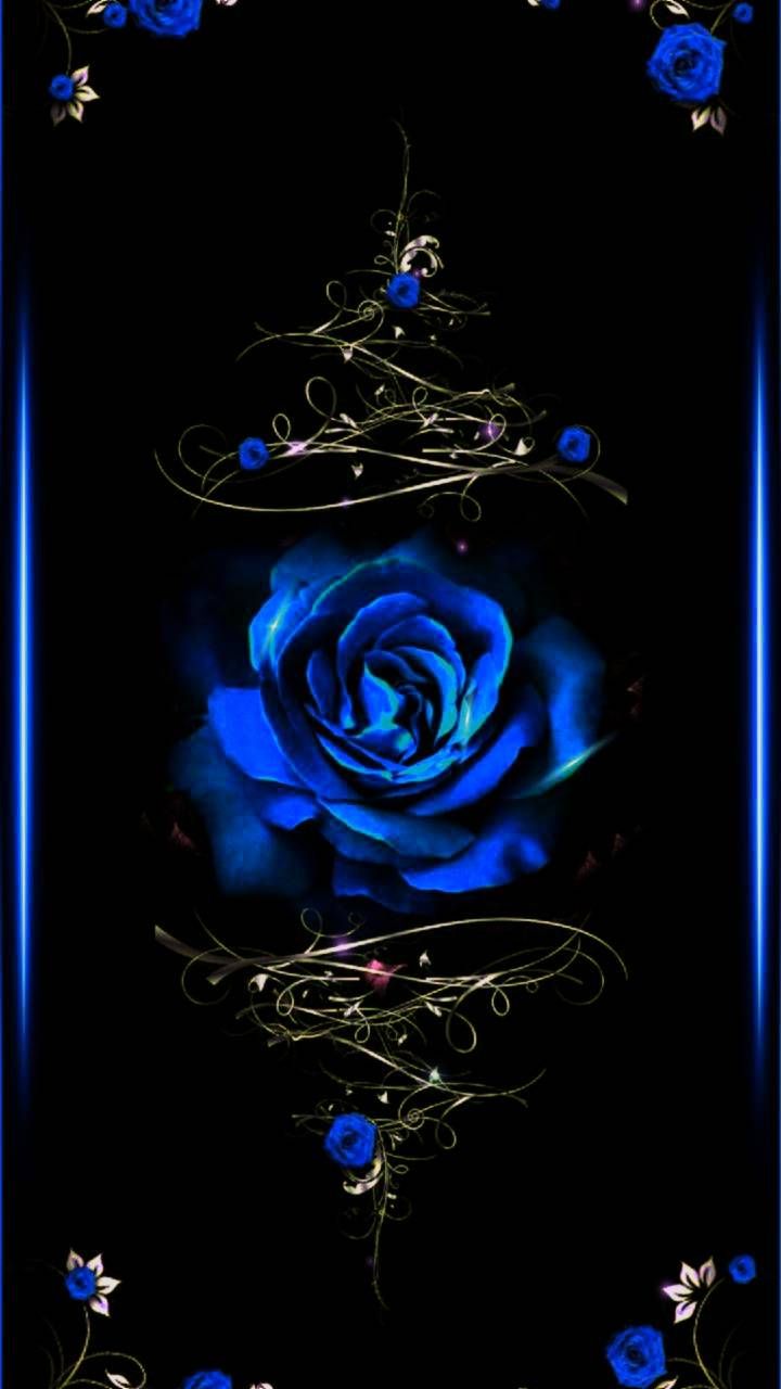 Hình nền hoa hồng xanh cho điện thoại đẹp nhất