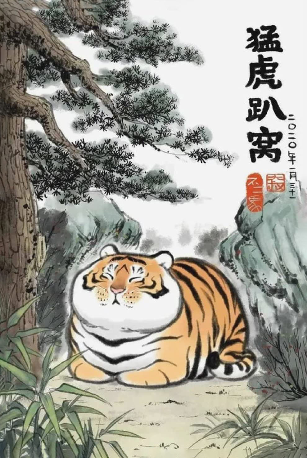 Hình ảnh con hổ béo trong rừng
