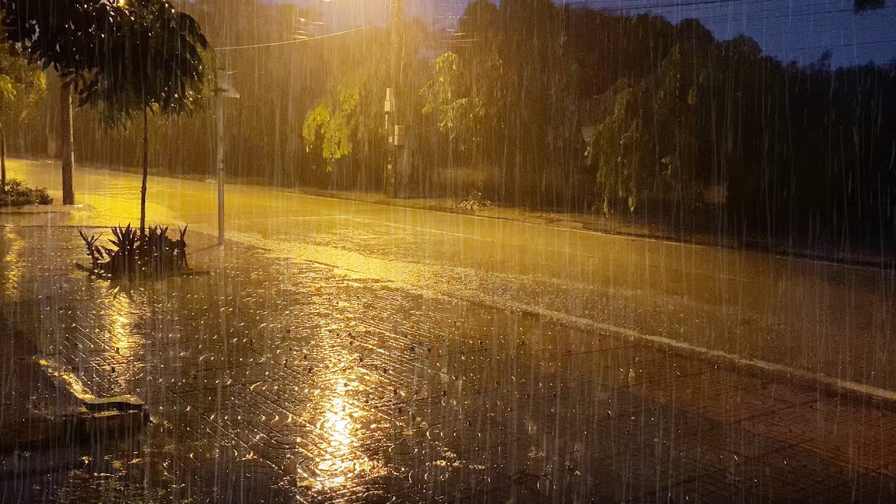 Hình ảnh mưa đêm HD