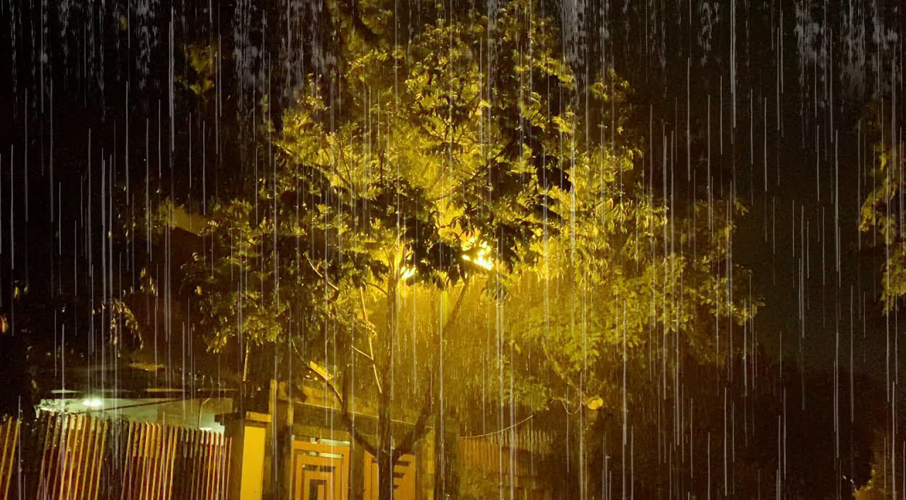 Hình ảnh mưa đêm nặng hạt
