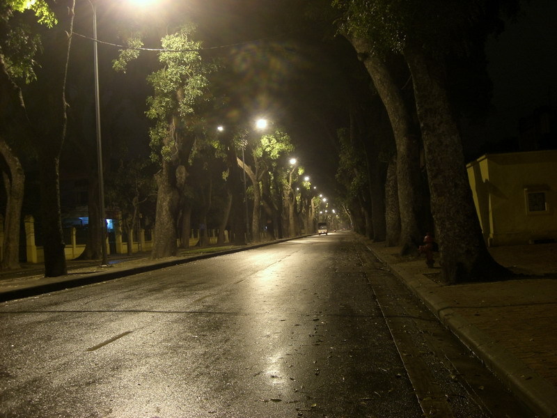 Hình ảnh mưa đêm trên phố vắng