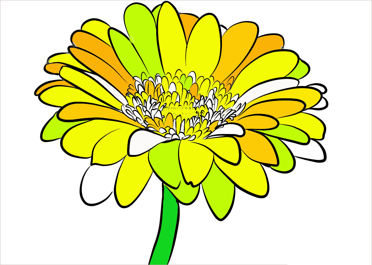 Hình vẽ hoa cúc vàng cực đẹp