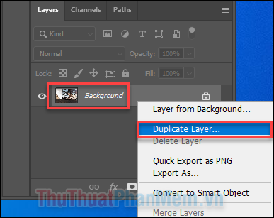Nhấn chuột phải vào layer background và chọn Duplicate Layer